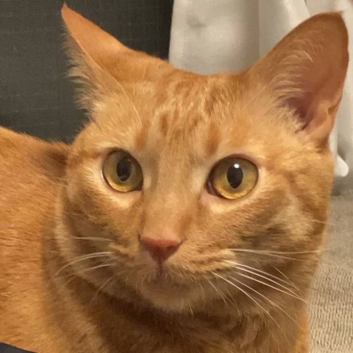 1bad2363 a43b 4823 bb4a 725622858e0e 1619321663453