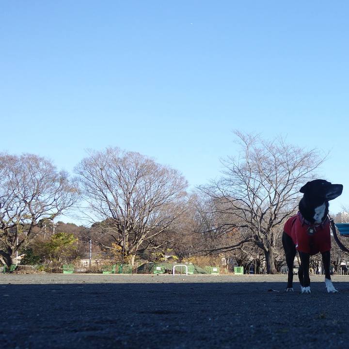 1bad2b39 c3de 4bb0 881d cb1e6cdeef54 1702436890326