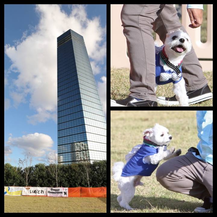 1bad30e8 859a 4e7f a704 6e1329bb2eea 1540362998420