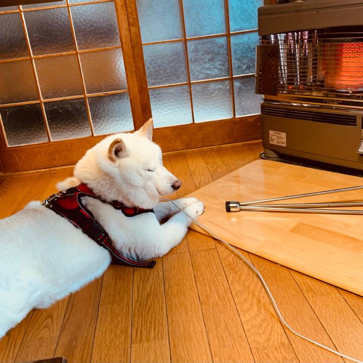 1bad59a8 0256 4fd4 9e18 b3016794fb5a 1610843331466