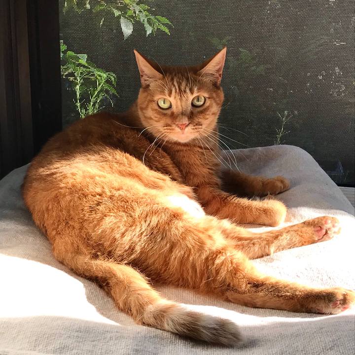 1bad59e4 af05 43c4 8983 3ebb2940f60b 1600745309011