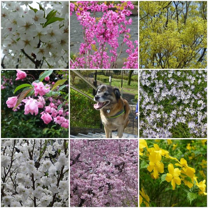 1bad77ac 5812 4e8d ad2b b28a9b143485 1581686012541