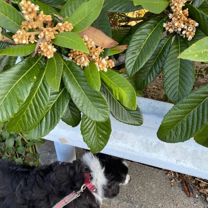 1bad9c84 1a9e 4891 969d cca34b7c8f70 1668039392867