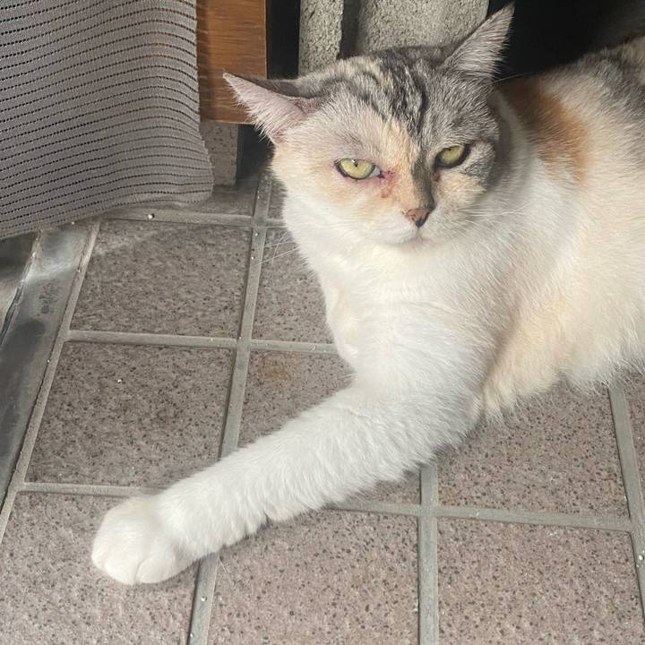 1badb352 1b5a 410d 8bbf bcda9c1fd942 1723595866677