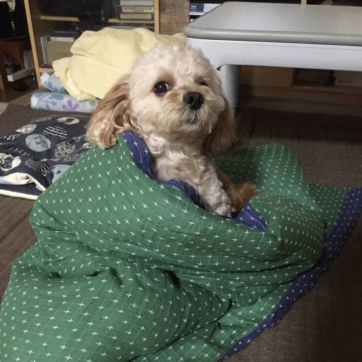 1badda52 6540 47fb 85d5 a7e993ac53aa 1538255287912