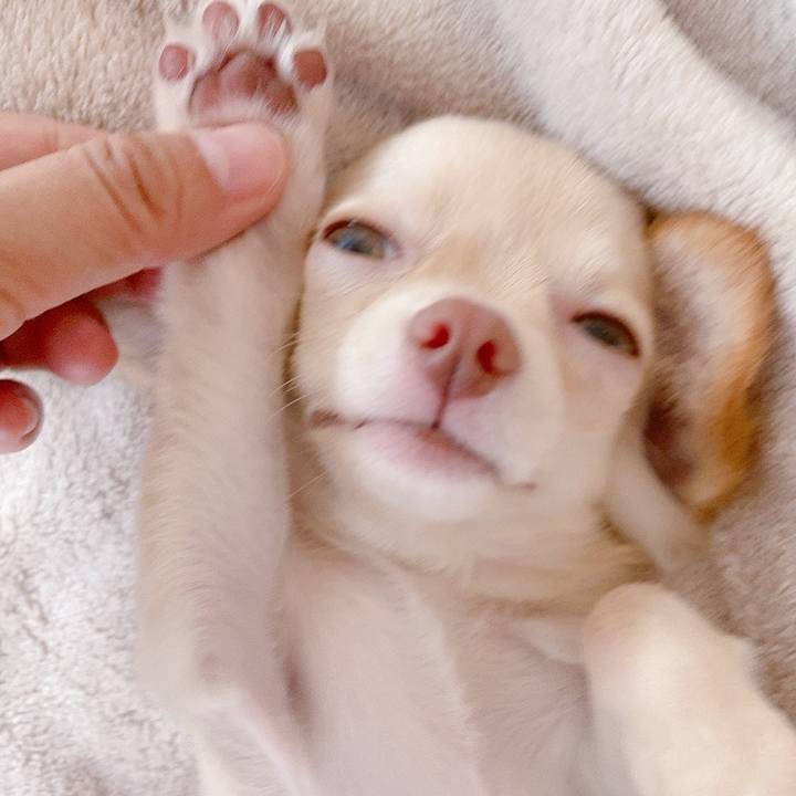 1bade0ef 0d41 4087 b053 d45257b0ee68 1593749820244