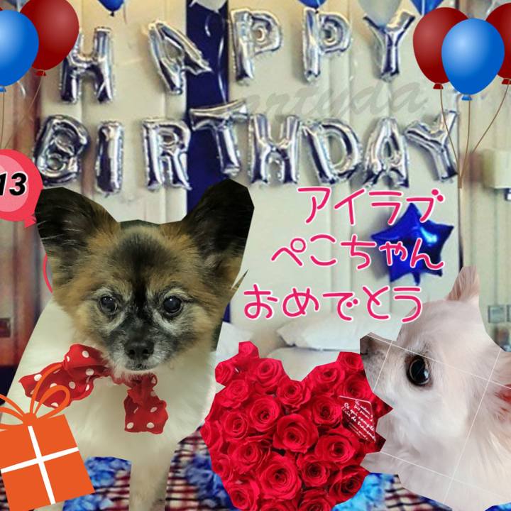 1bae3ab1 9f2e 46ea 926c c6bf074af0f7 1577603481794