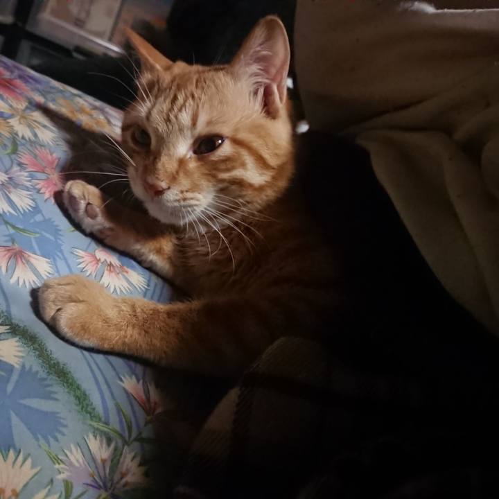 1bae3bea b0c0 409f a3c8 ef1d83ffa944 1643402823312