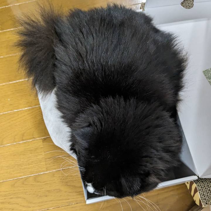 1bae452c af32 4cc9 82e6 5d73dccaf449 1712661239276