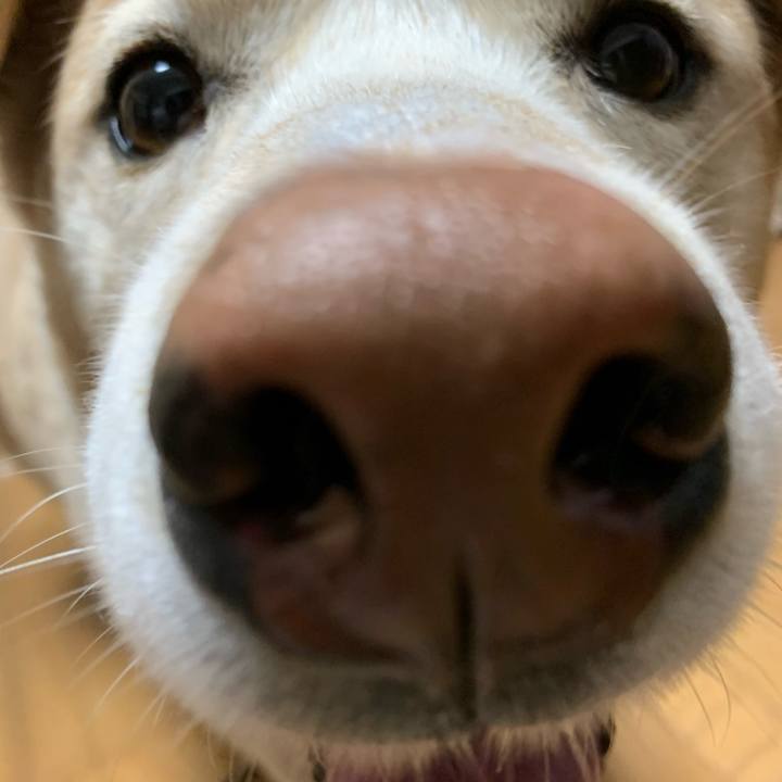 1bae6bc8 b0fb 4896 8d6f a4b95956eaae 1617016376709