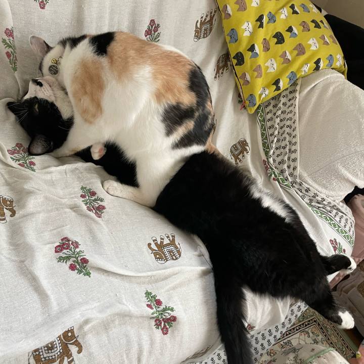 1bae7040 b2e4 4d8a b85c c2a07f76a810 1692594593120