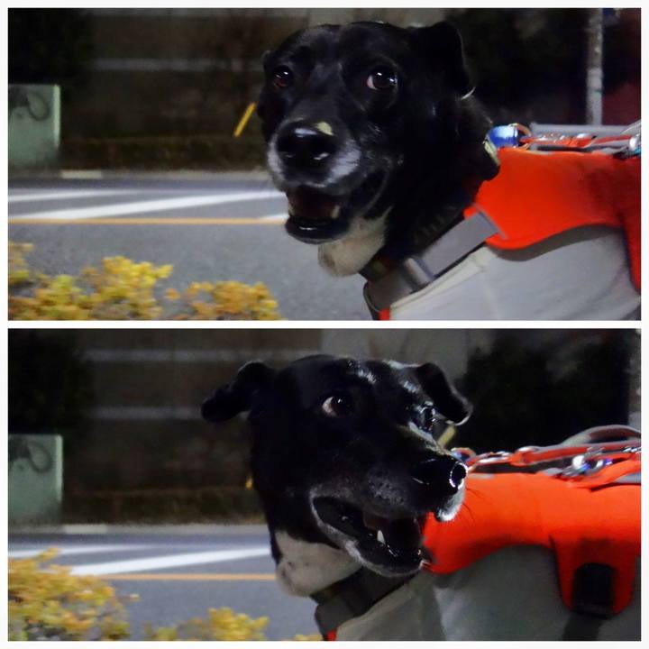 1bae8e7f 1fc2 432f 9431 eb0b087c84fc 1706872013541