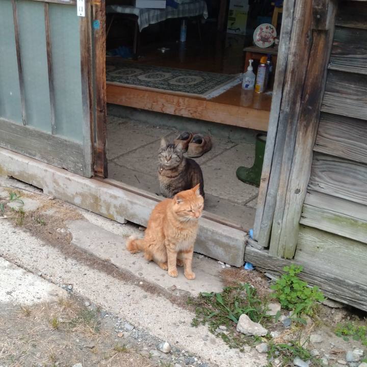 1baeb8da 3624 4924 80b9 8660721d6e92 1719569218569