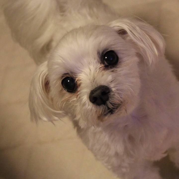 1baecb0f 2b06 4f88 a610 49e1e88cb1ca 1634657767777