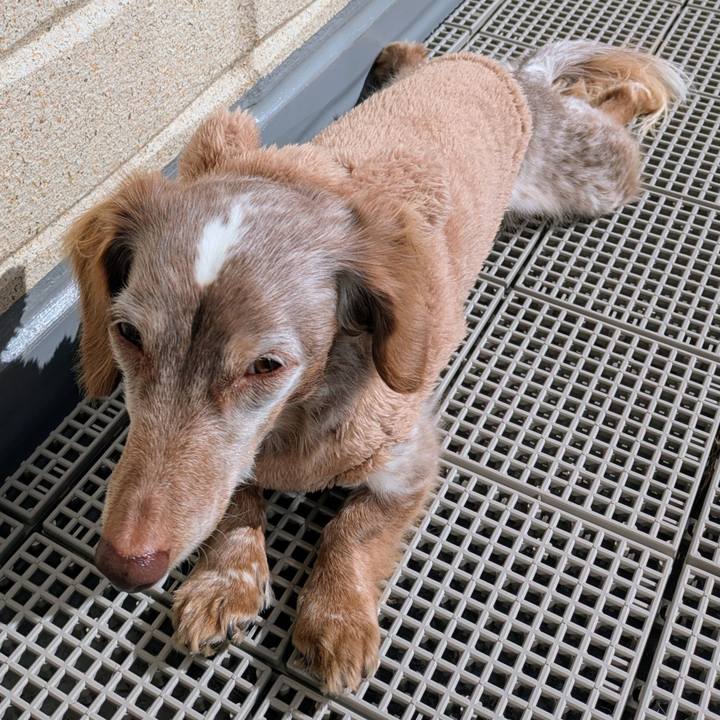 1baed9dd 299b 4b96 9a00 9884dd473cb9 1769832018797