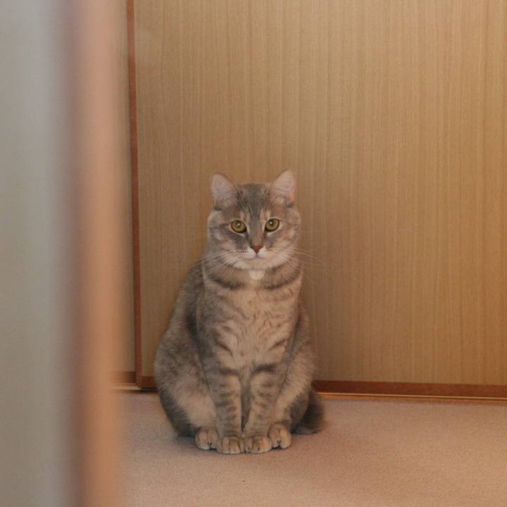 1baf3293 066a 4ea9 8a9f 5d9dc242f6b5 1510536746520