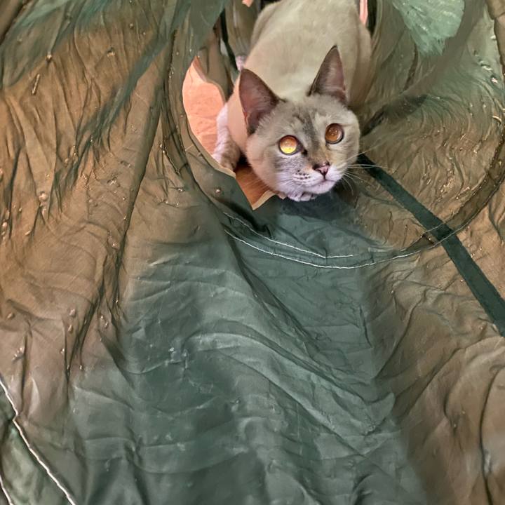 1baf39dd 67b6 4833 bf1c 59f15c118489 1666430901650