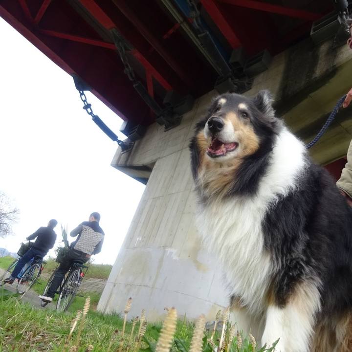 1baf3a56 00e2 4ed3 b825 970931a2b593 1586095515185