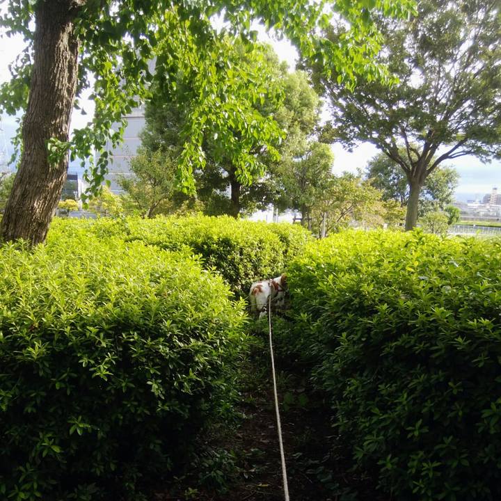 1baf4da1 d1b8 401e baaa 71f6cf344de2 1536579135530