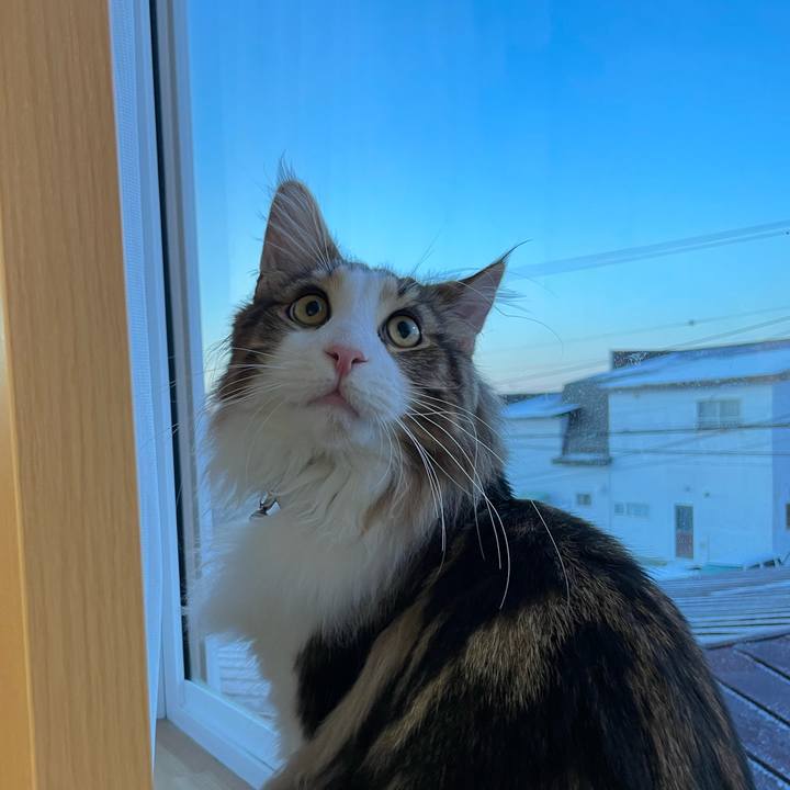 1baf7704 9dce 4fbd 85c5 1558084f5e96 1642543158251