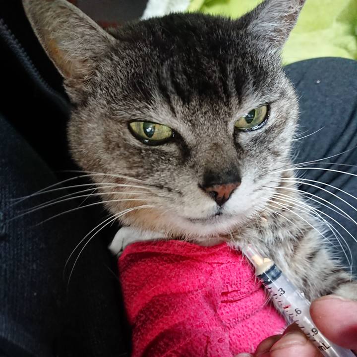 1baf892b 8d5c 4282 b023 c2cbbb1ee196 1586728072801