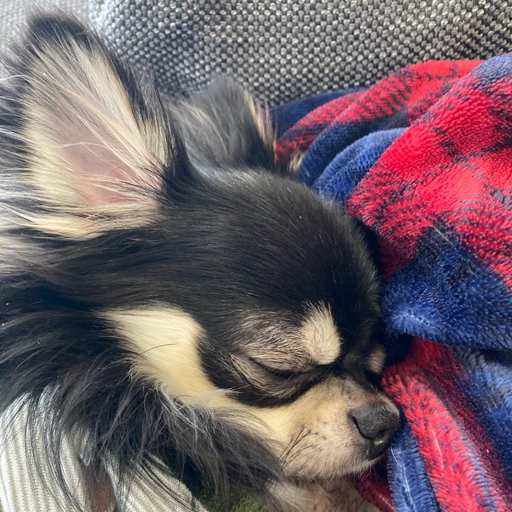 1baf8f6e 02b2 441d b9fc 609f72b00fd2 1609303018198