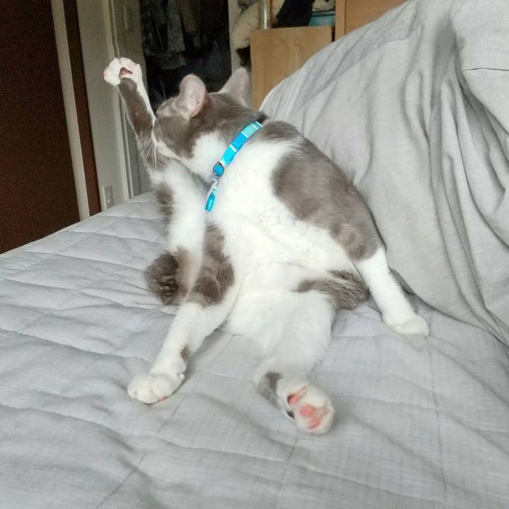 1baf9361 7e70 41f8 81ee cc94b9daf4f8 1618615442109