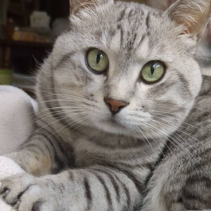 1bafb199 83ce 4c86 9696 72147e4dc7a4 1695290126833