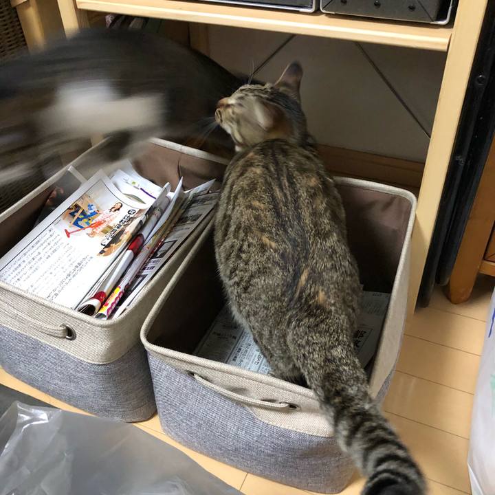 1bafe204 88ec 4533 a703 a401276042b3 1522249029813