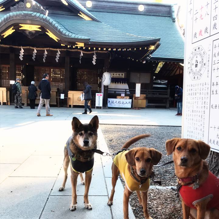 1bafe441 6750 4e03 a925 97d9e0010827 1545202182124