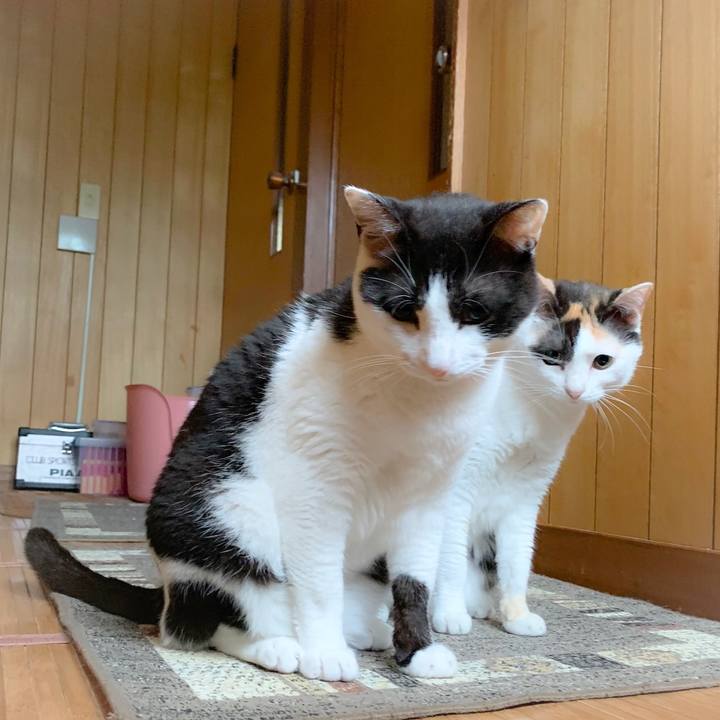 1bb04e8b 1753 415f 8a9b 8f81592686e2 1560906336454