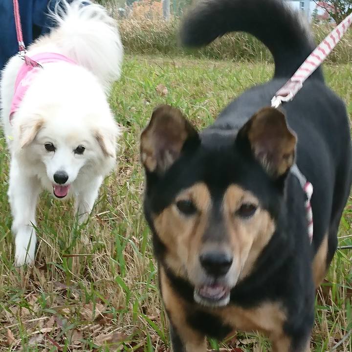 1bb05c7f 9e8d 4dab af6d 83a8a3293a16 1541669857760