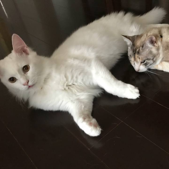 1bb0864c 3651 41af 8027 0bb02611bc19 1523358238068