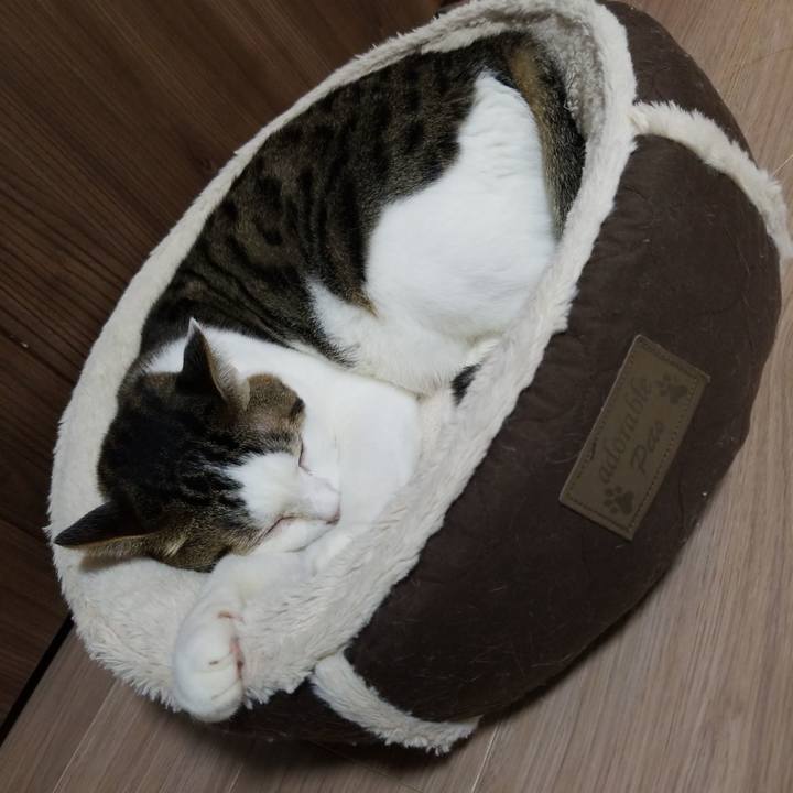 1bb08d6b a471 4d0c b207 135c4c57e3c0 1570743874619