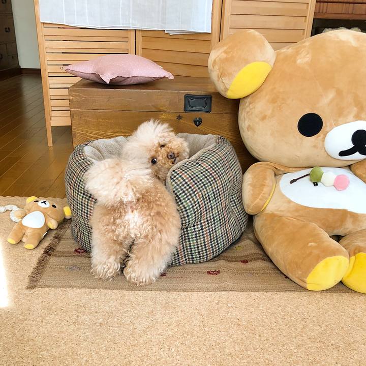 1bb101e6 ed26 4e28 9362 ba7f9a3bf626 1517021027245