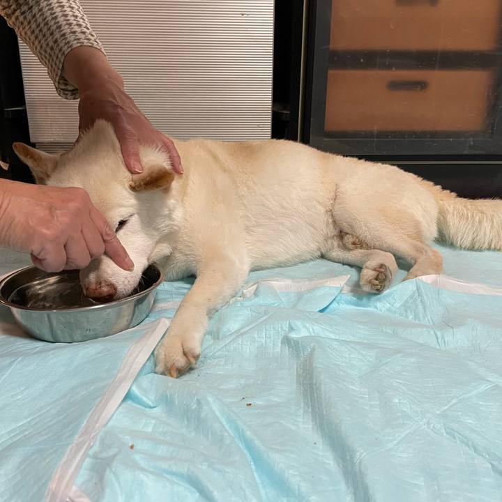 1bb12f62 6475 4047 a049 202da02e93f8 1639312893354