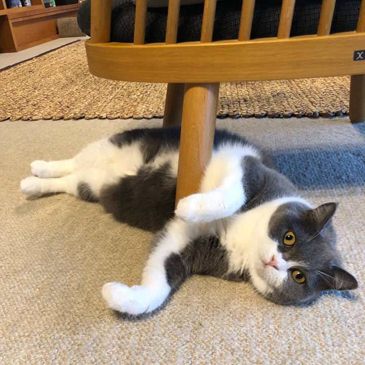 1bb13ee7 0bbc 4f5f b41a 6e1dfd96073e 1597371814695