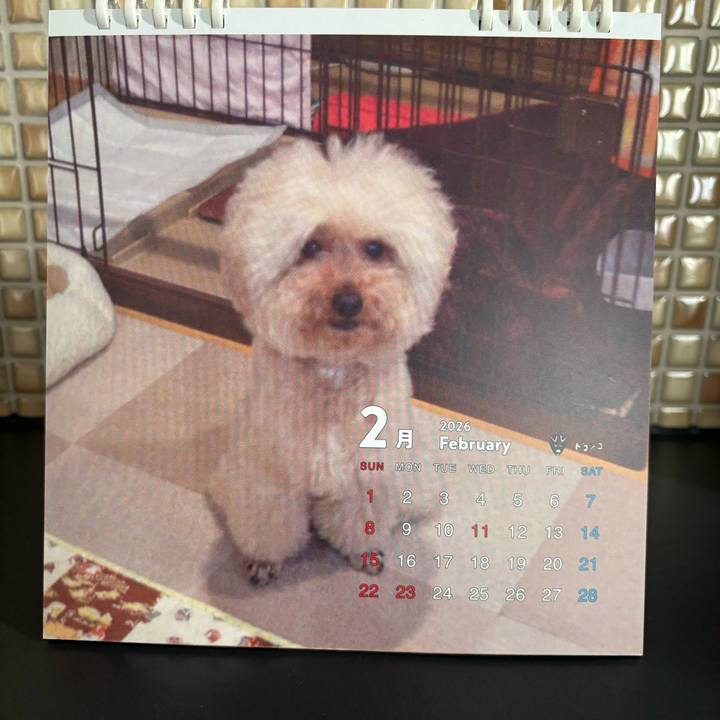 1bb14b5c 2055 4bc5 a084 8a057b7c3b76 1769901336514