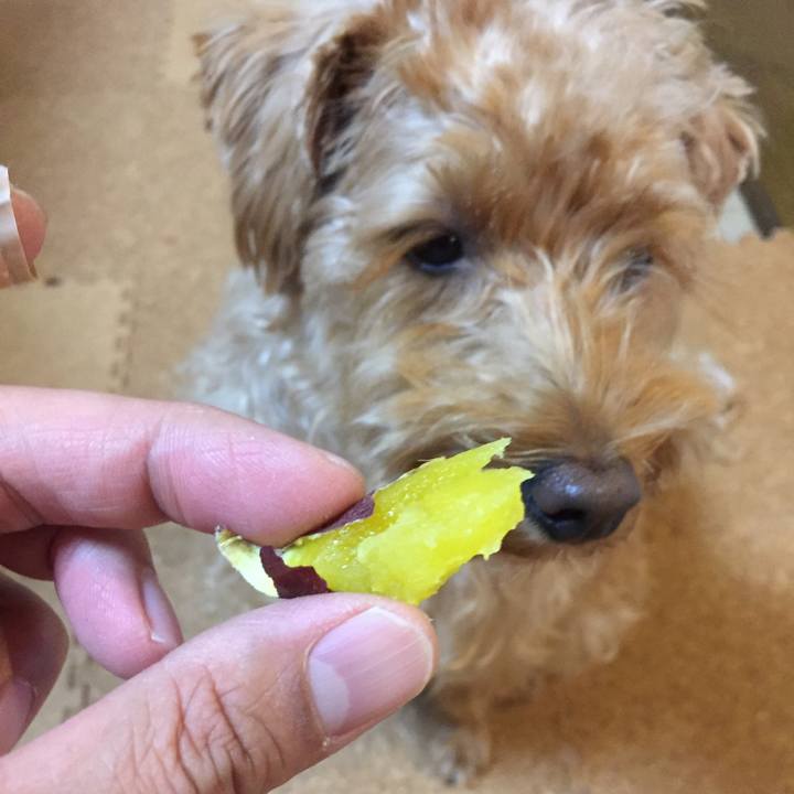 1bb14d74 16bd 4370 a329 2d0e9d3b69e6 1508671762788