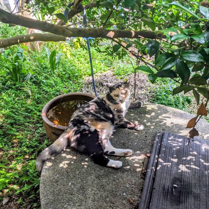 1bb151ac d765 4749 aed2 b2580042a628 1758082048184