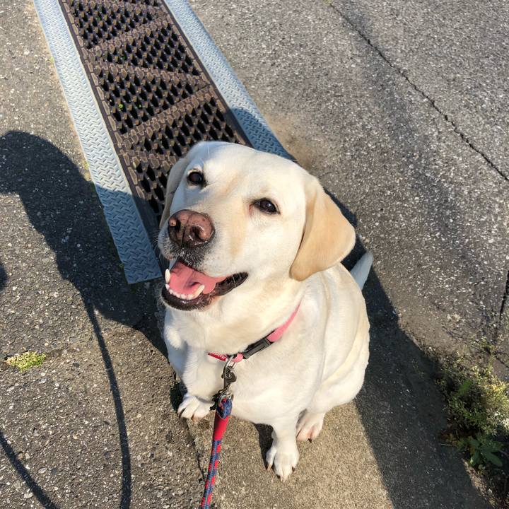 1bb18789 611a 40b5 9650 8f50629240b8 1588198082120