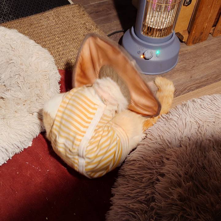 1bb1bded 0e09 460d b509 d25aec545a37 1761999754446