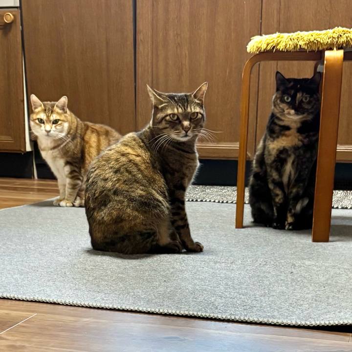 1bb1eef5 27b8 4394 b292 e31ce29ee16d 1766968032273