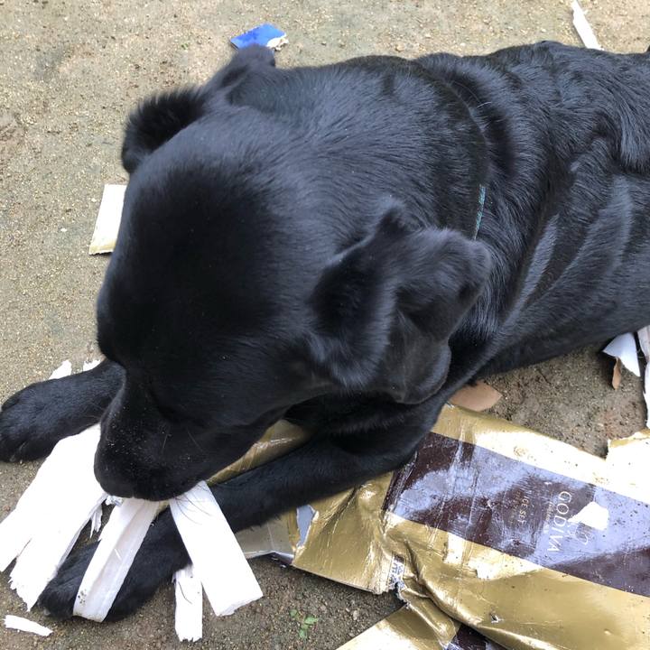 1bb2200d ad56 426d aaa2 60b25fd4ae22 1599610013677