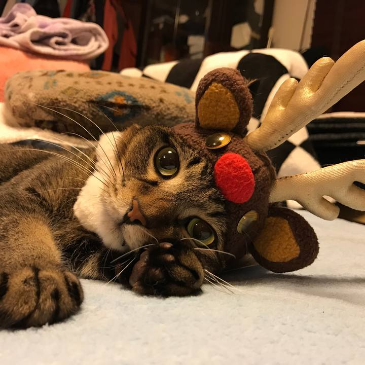 1bb2332c 7921 4ea3 a3e5 f57953736d59 1545655404872