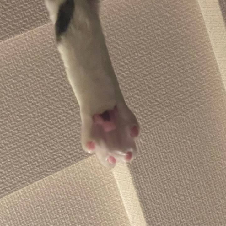 1bb26d9f 6b26 4bc1 ad7f 8650c41bbce0 1731761835168