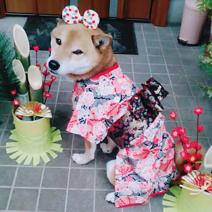 1bb27daf 5d67 40bf 9f62 f5a05032d956 1578450223825