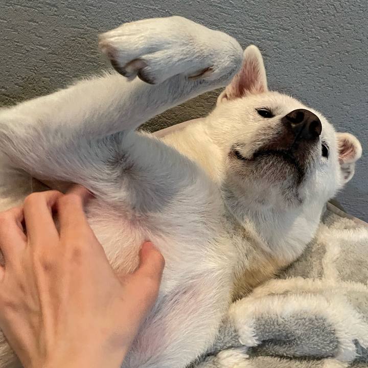 1bb280f3 b0e2 4399 b4cc 6aaa54d4ba94 1730282742215