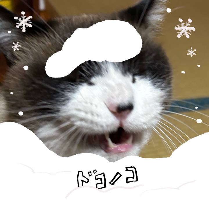 1bb2b14a 8da4 4c15 bea3 33fd6e1383c9 1772277846305