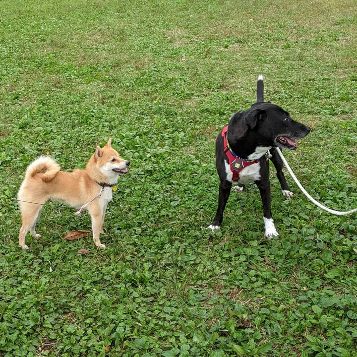 1bb2c7a8 8b14 4230 a671 7f687ddd17d1 1666569511148